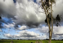 天涯论坛中的中年女网友：聊聊生活中的小确幸